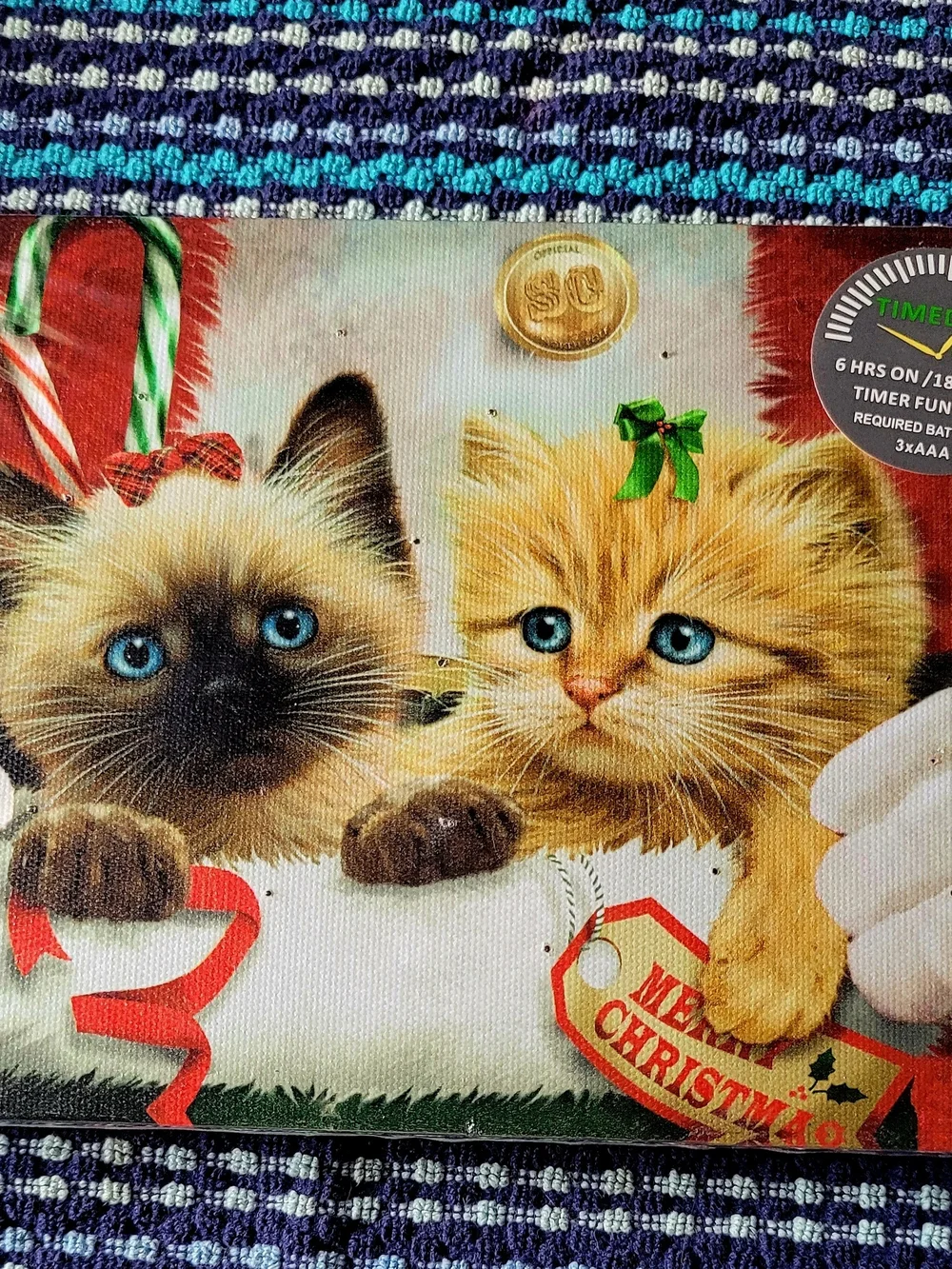 Canvas Festive Cat Light Up Picture Pouch with Blue-Eyed Brown & Cream Kittens